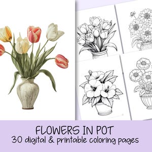 Può includere: Un set di 30 pagine da colorare stampabili che presentano vari fiori in vaso. Le pagine includono tulipani, ibisco e margherite.