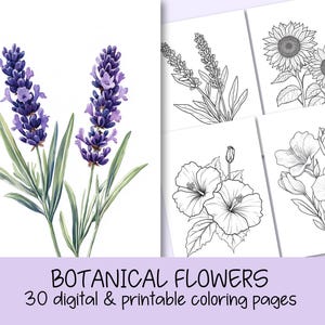 Libro da colorare floreale per adulti Bellissime pagine di fiori per rilassarsi e alleviare lo stress Libro da colorare Bloom Botanicals per adulti e bambini