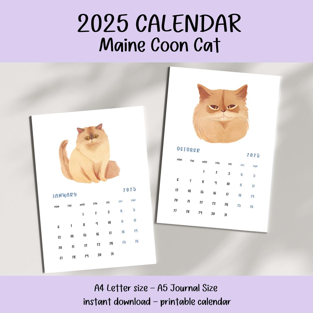 Maine Coon Cat Calendar 2025 Cat Photography Gift for Cat Lovers