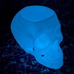 May include: A blue glow-in-the-dark skull shaped planter. The planter has a smooth surface and a rounded shape.