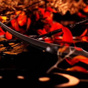 May include: A curved, silver-colored blade with an ornate handle. The blade is set against a backdrop of red and orange leaves, creating a dramatic contrast. The overall aesthetic suggests a fantasy or historical theme.