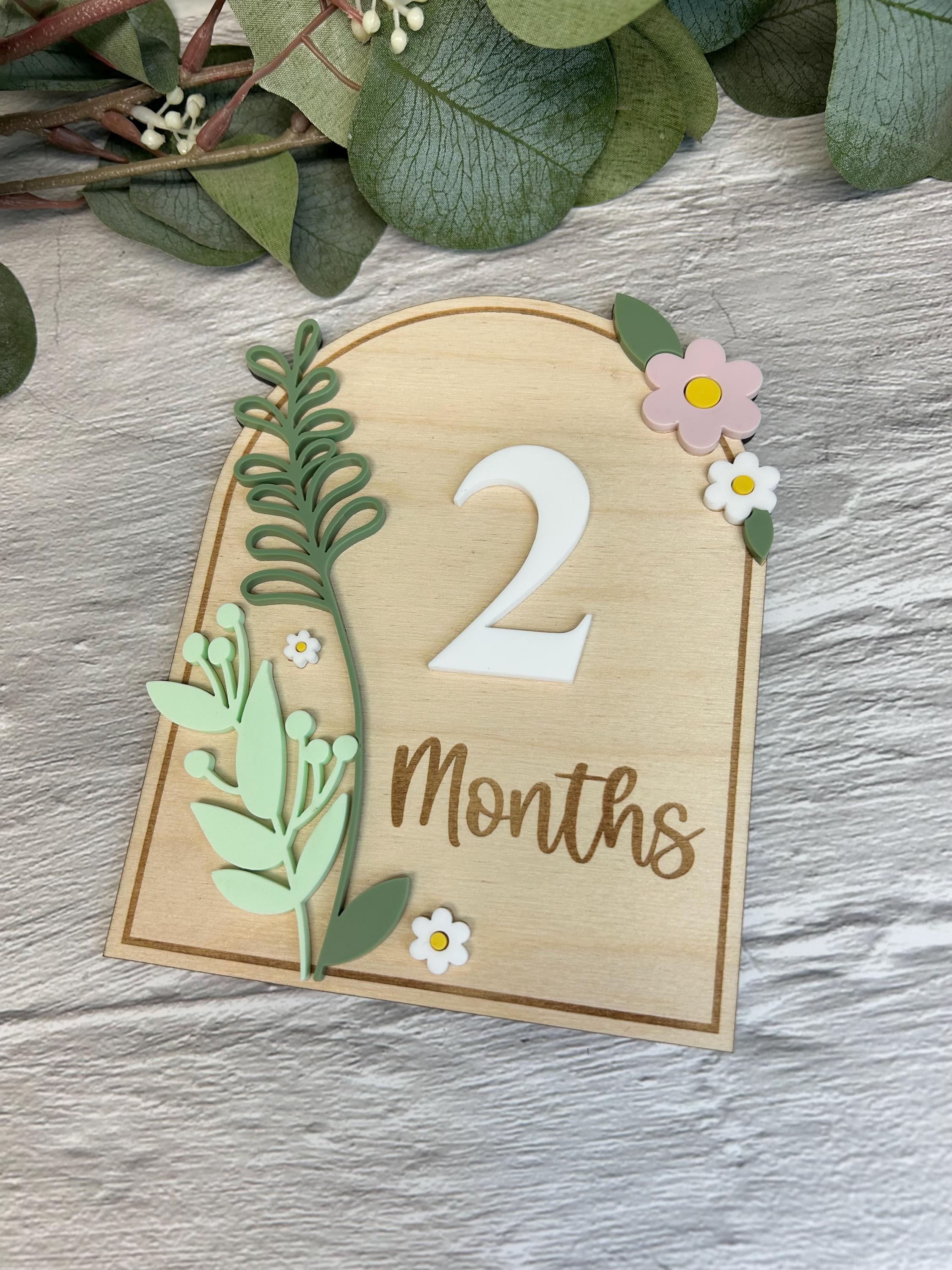 Daisy Garden Baby Milestone SVG, Birth Announcement (digital File) - Etsy