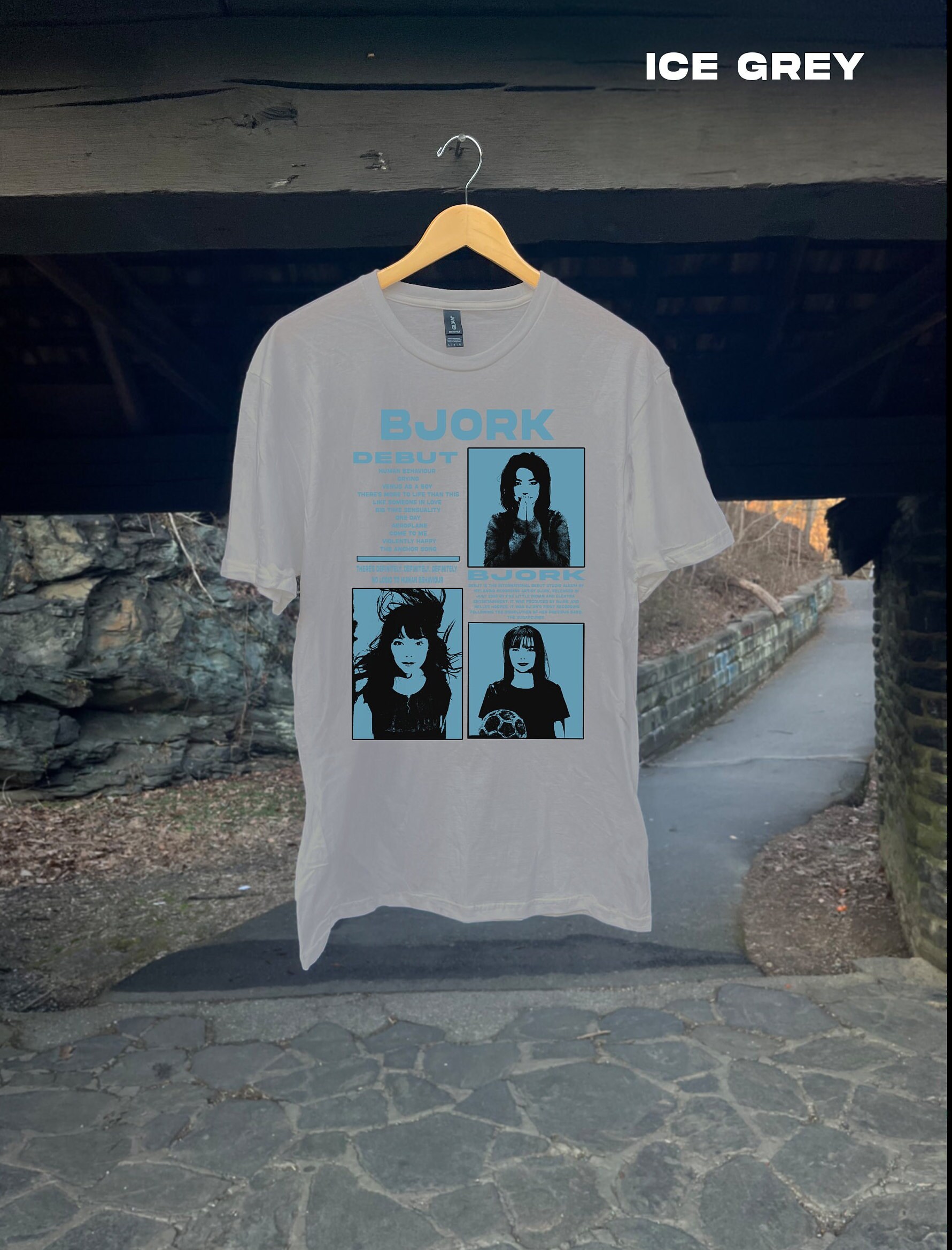 Bjork Debut Album Shirt, Vintage Bjork Shirt, Bjork Merch, Bjork 