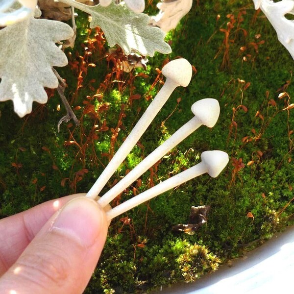 Three Dainty Ceramic Mushrooms - handmade ceramic enoki mushroom decoration for terrariums and potted plants