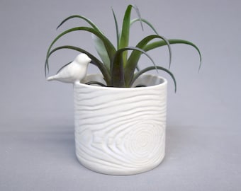 Pre-Order: White-glazed Porcelain wood grain pot with bird decoration on the rim