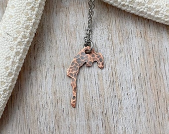 Camano Island Outline Necklace -  Washington State Rustic Copper with stainless steel chain - PNW