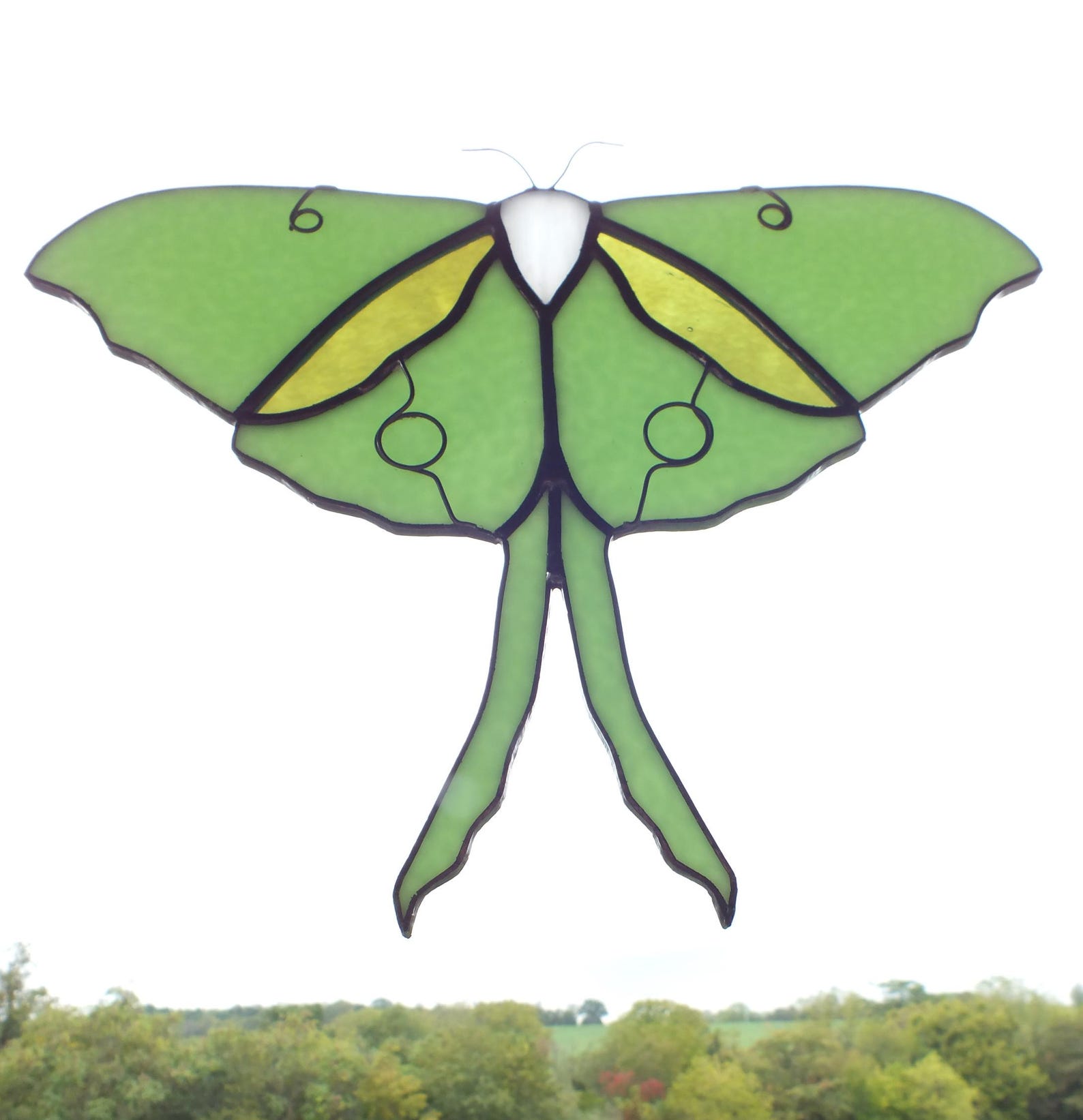 Pre-cut Stained Glass Luna Moth Kit - Etsy