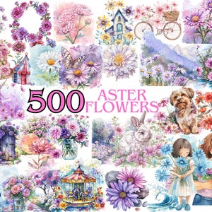 Aster Flowers Watercolor Clipart Bundle, Asters Images, Floral Graphics, Delightful Blossom Watercolor Aster scrapbooking Commercial Use