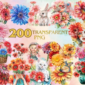Gerberas Watercolor Clipart Bundle 200 PNG Gerbera Flower Images, Beautiful Floral Graphics, PNG, colorful daisies, Commercial Use