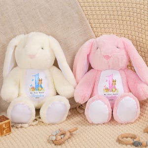 Personalisierte Ostern Plüsch Hase, Osterhase Kaninchen Ostern Geschenk für Kind, Benutzerdefinierte 1. Osterhase Spielzeug, Taufe Hase Neugeborenen Babypartygeschenk