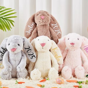 Personalized Embroidered Bunny Rabbit,Monogrammed Bunny,Newborn Baby Gift,Baby Shower Gift,Stuffed Animal,Plush Bunny Toy,Gift For Kid