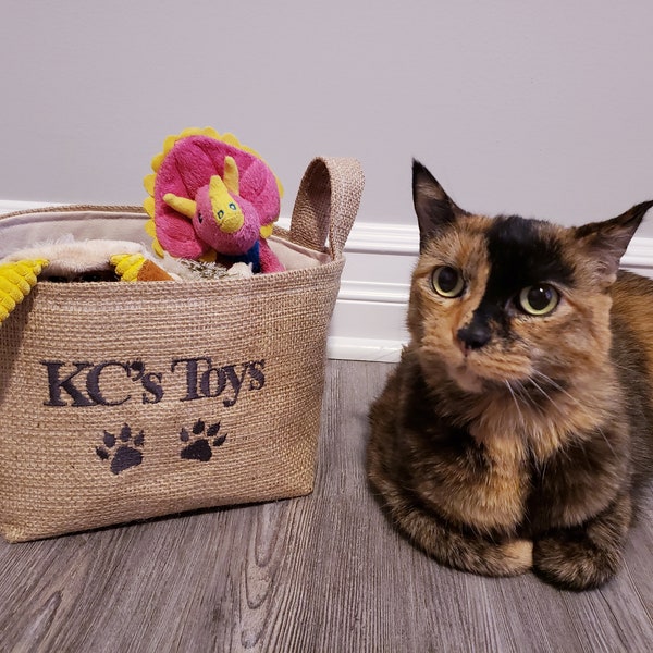 Cat Toy Basket