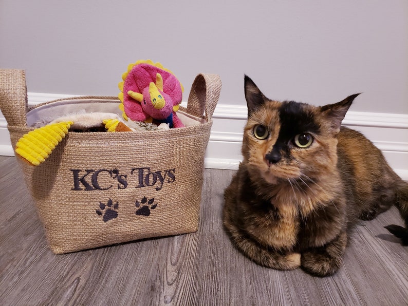cat toy basket