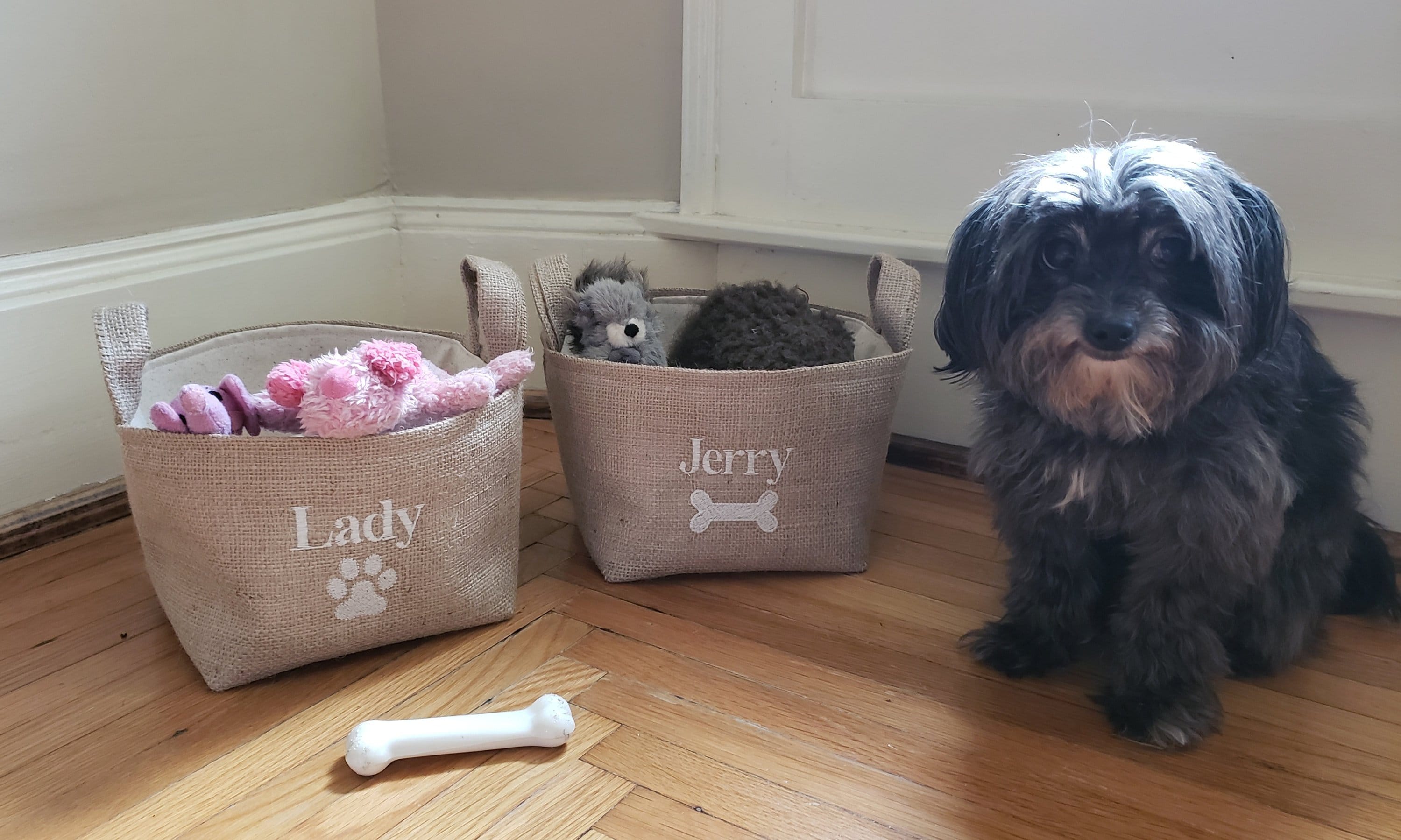 Monogrammed dog toy clearance basket