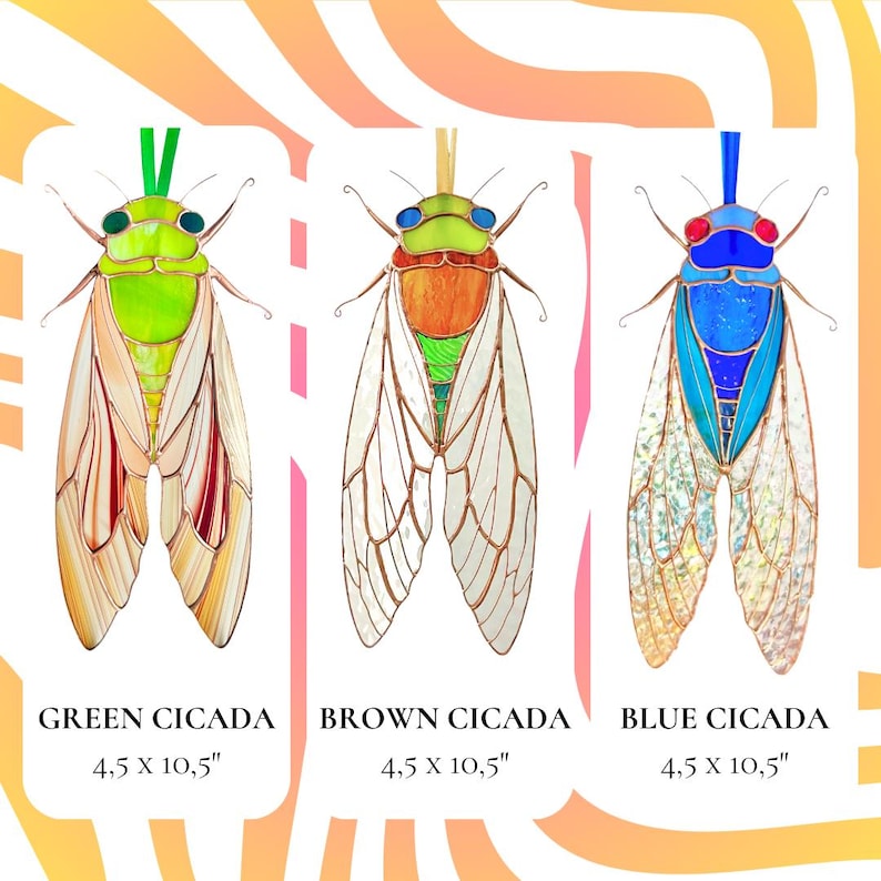 Variation of cicada suncatchers: green with brown wings, brown with iridescent wings, blue with iridescent wings