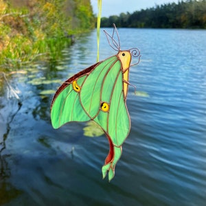 Luna moth butterfly suncatcher / Butterfly ornament / Glass wall art / Butterfly stained glass window hangings / Wall hanging / Yard art