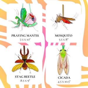Infographic showing stained glass insect suncatchers including green and blue scarab, praying mantis, mosquito, stag beetle and cicada with sizes, handmade glass window decor collection.