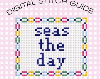 Seas The Day 14 Mesh Cross Stitch Needlepoint Pattern Digital PDF