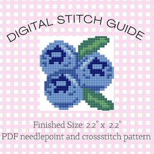 May include: Digital stitch guide with a cross-stitch pattern of blueberries. The finished size is 2.2" x 2.2". The image features a light pink background with a white grid pattern. The text "DIGITAL STITCH GUIDE" is arched across the top.