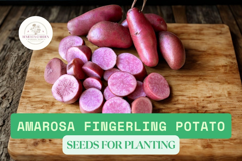 Cool Review About Fingerling Seed Potatoes