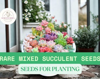 200 Rare Mixed Succulent Seeds – Colorful Variety Pack for Planting | Unique Indoor & Outdoor Garden Seeds