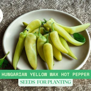 300mg Hungarian Yellow Wax Hot Pepper Seeds – Heirloom, Non-GMO, Mild to Medium Heat, Great for Pickling & Salsas