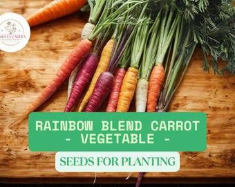 150 Rainbow Blend Carrot Seeds – Heirloom Non-GMO Blend Seeds for Planting – Colorful Garden – Sweet and Crisp Vegetable
