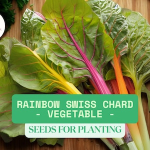 50 Rainbow Swiss Chard Seeds for Planting – Heirloom & Non-GMO Vegetable – Colorful Garden Greens
