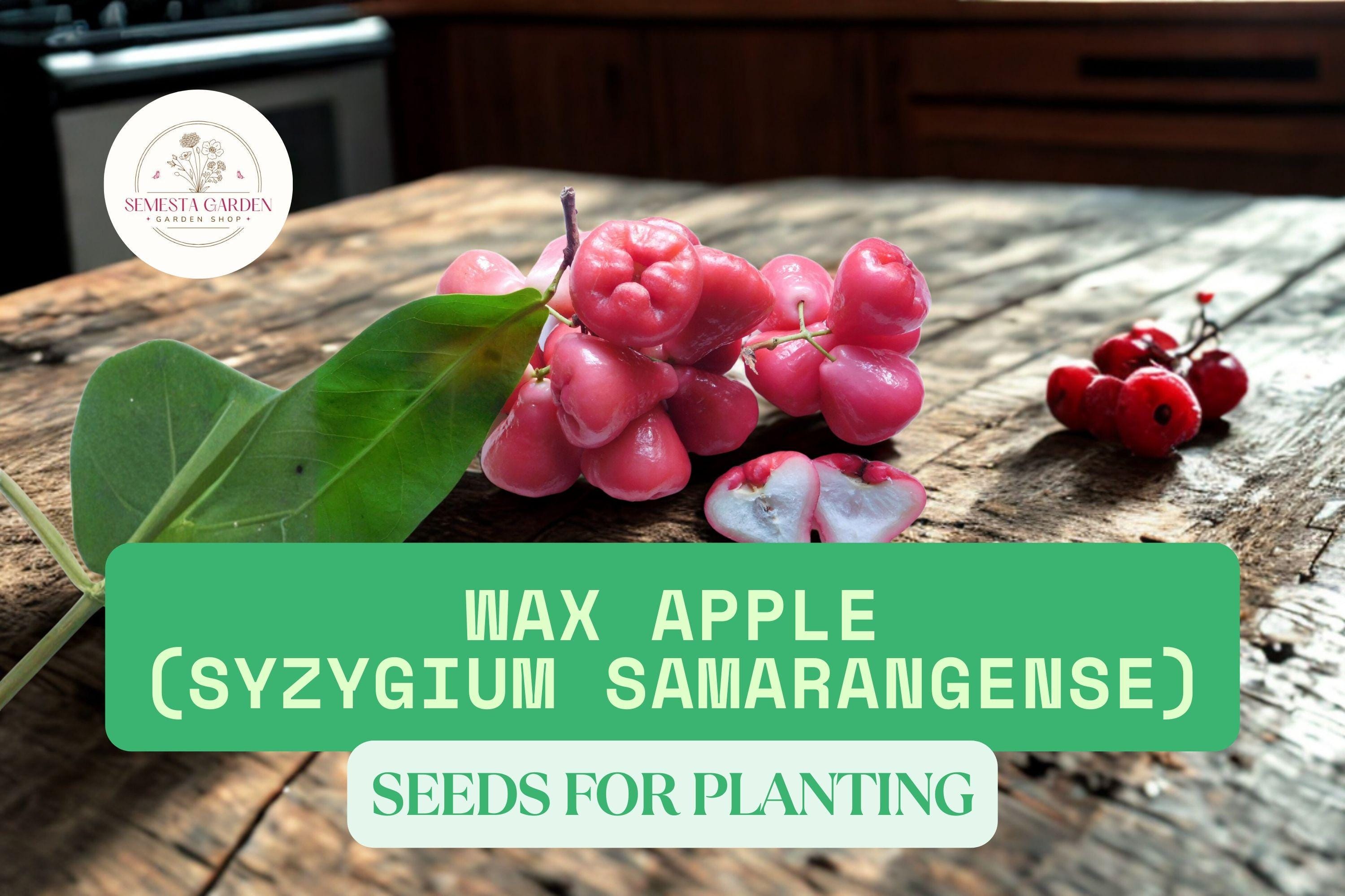 plant marvel fertilizer 12-5-19+ High Cal Mag Vegetable Plant Marvel 25 pound