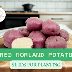 May include: A close-up of Red Norland potatoes, with a cut potato showing the interior. The potatoes are a vibrant red color and are labeled "Seeds for Planting". The image is set on a wooden cutting board.