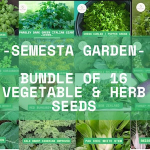 16 Vegetable & Herb Seeds Variety Pack – Non-GMO Garden Starter Kit – Fresh Packs – Basil, Kale, Broccoli and More