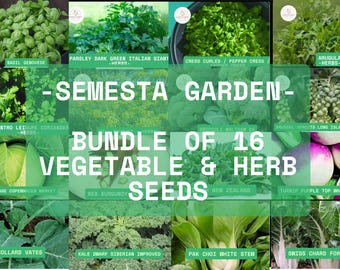 16 Vegetable & Herb Seeds Variety Pack – Non-GMO Garden Starter Kit – Fresh Packs – Basil, Kale, Broccoli and More