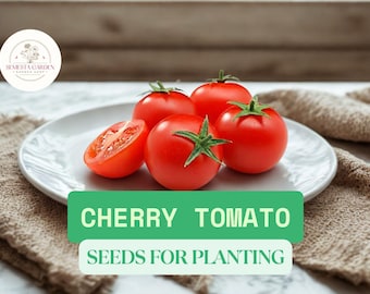 300 Cherry Tomato Seeds – Heirloom Solanum lycopersicum – Sweet Garden Tomatoes – Easy to Grow Vegetable Seeds for Planting