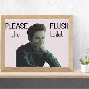 May include: A framed print featuring a man in a green jumper looking down. The text on the print reads "PLEASE the toilet FLUSH".