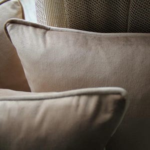 Velvet  throw pillow cover cushion with piping