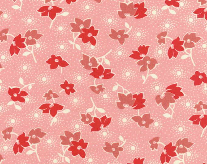 everything but the kitchen sink pink red floral