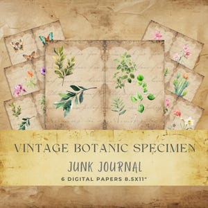 Tema de espécime botânico Páginas de diário de lixo Páginas internas vintage inspiradas na natureza botânica Suprimento de papel digital para artesanato e scrapbooking