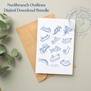 Archivo digital de nudibranquios / Patrón de babosa marina, descarga instantánea / Regalos de nudibranquios DIY / Solo para uso privado - no para uso comercial