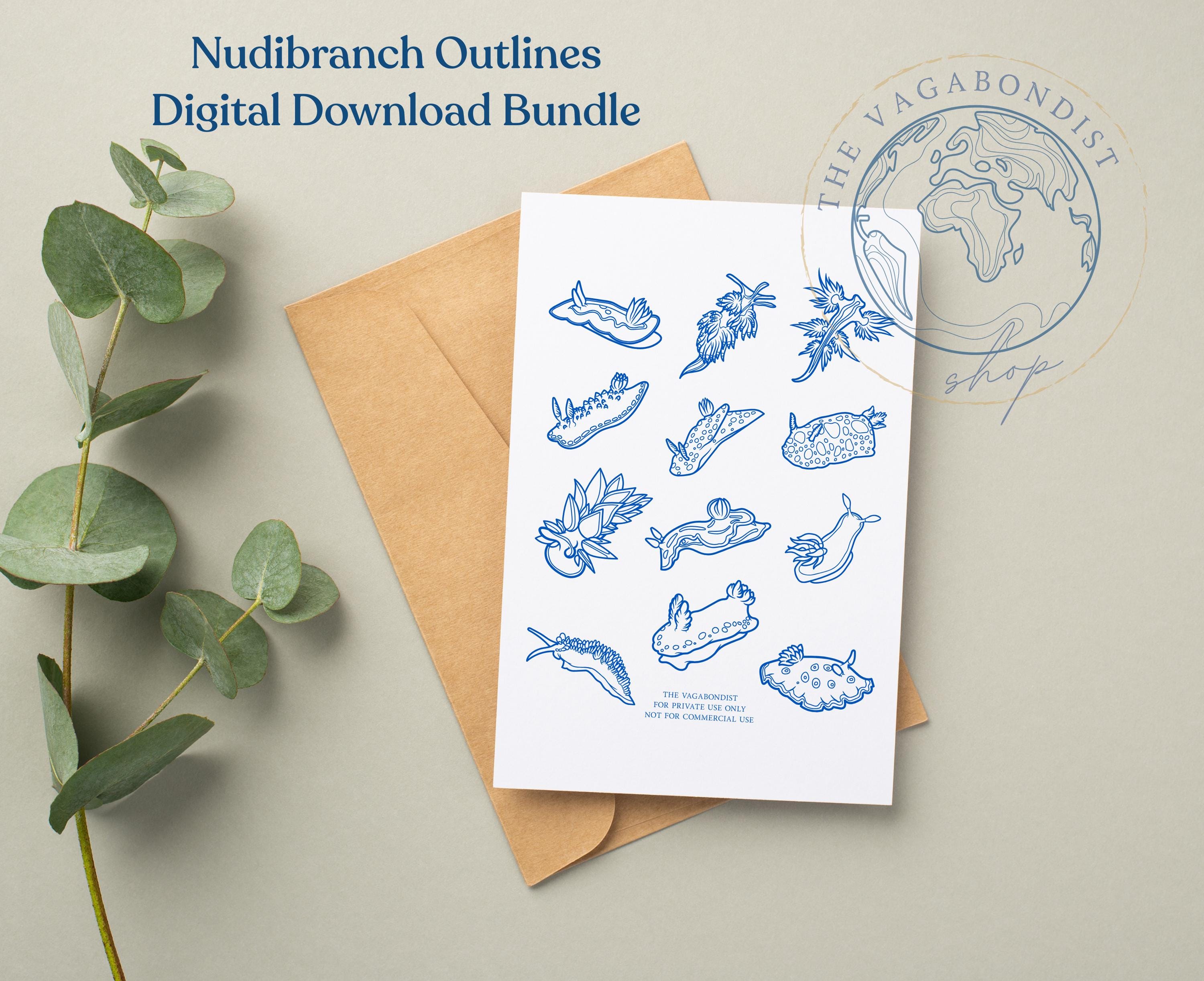 Nudibranch Outlines: Sea Slug Digital File (PNG Download)