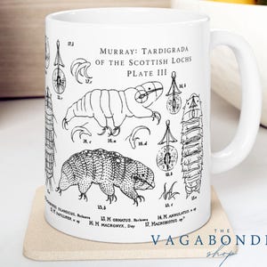 Könnte beinhalten: Eine weiße Keramiktasse mit einer Schwarzweißillustration von Bärtierchen, auch bekannt als Wasserbären, aus den schottischen Seen. Die Tasse trägt den Text "MURRAY: TARDIGRADA OF THE SCOTTISH LOCHS PLATE III".