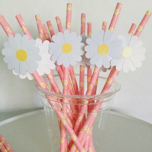 May include: A set of pink and white striped paper straws with daisy flower toppers. The straws are in a clear plastic cup.