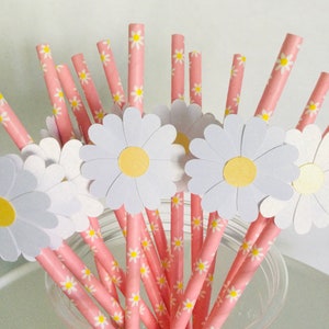 May include: Pink and white striped paper straws with a daisy pattern. The straws have white daisy cutouts attached to the top.