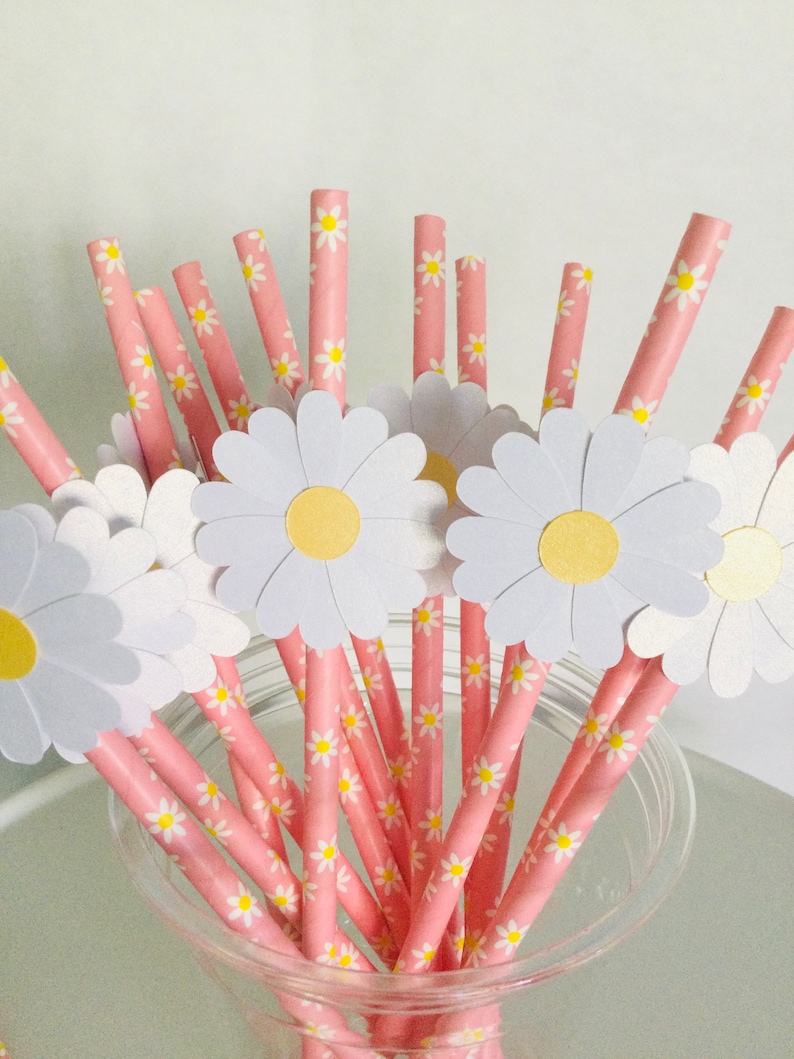 May include: Pink and white striped paper straws with a daisy pattern. The straws have white daisy cutouts attached to the top.
