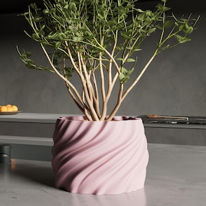 Può includere: Un vaso rosa con un design ondulato contiene una piccola pianta verde con molti rami. Il vaso è appoggiato su un bancone grigio.