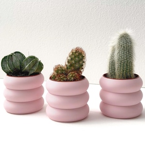May include: Three small, round, light pink planters with a stacked, ribbed design. Each planter holds a different type of cactus: one with dark green, segmented leaves, one with small, spiky green stems, and one with a tall, fuzzy, light green cactus.