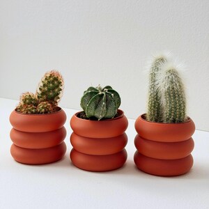 May include: Three terracotta-coloured planters with a stacked, rounded ring design, each containing a different species of cactus. The left cactus is small and clustered, the centre is round and dark green, and the right is tall and fuzzy.