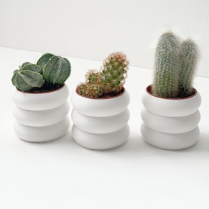 Mini White Planters for 2-Inch Nursery Pots, Set of 3 or 6