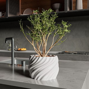 May include: A white ceramic planter with a wavy design, featuring a small green leafy plant with brown branches.