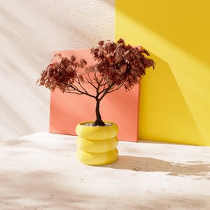 May include: A small tree with brown leaves in a yellow planter with three tiers. The tree is in front of a wall with a coral pink and yellow background.