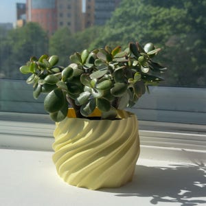 以下が含まれることがあります： 黄色の渦巻き模様のセラミック製の鉢に植えられた、金の成木。鉢は白い表面の上に置かれています。